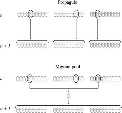Effect of the Reproduction Method in an Artificial Selection Experiment at the Community Level